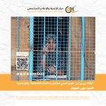"تشات جي بي تي" طبيب نفسي تستعين به النساء"للفضفضة" ولكن إحذرن!