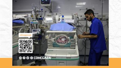 صورة الحمل في غزة معركة صامتة 