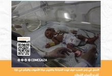 صورة الحمل في زمن الحرب: كيف تهدد المجاعة والنزوح حياة الأمهات والرضّع في غزة