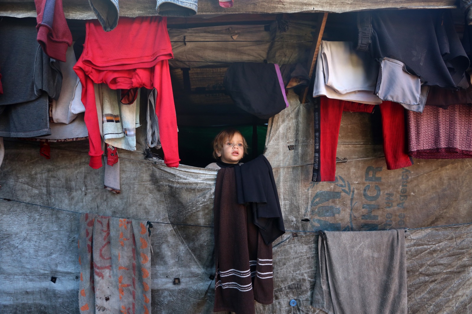 "الناجي الوحيد".. حكيم فلسطيني يحول فجيعته بفقد عائلته إلى كتاب يخلد الذاكرة "ولكن شيبتني الوقائع"... شهادة رجل فقد أسرته في غزة